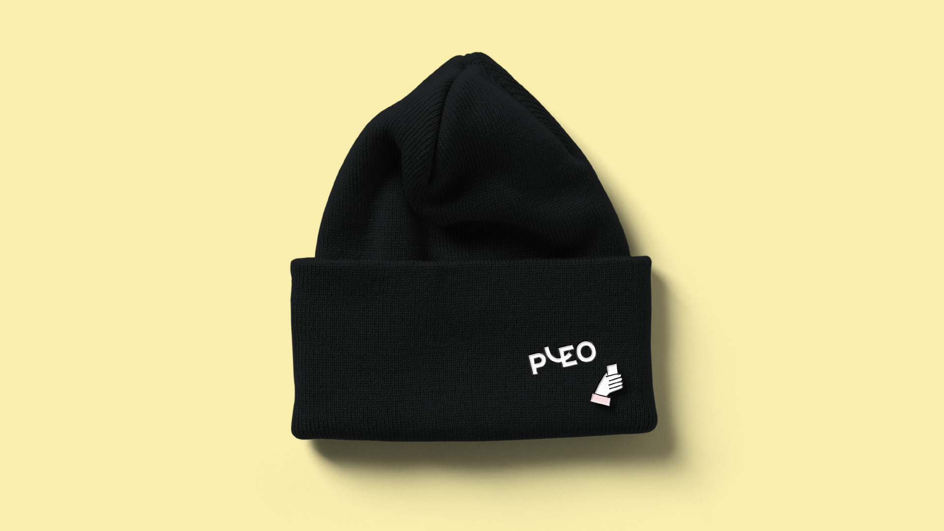 Pleo應用010